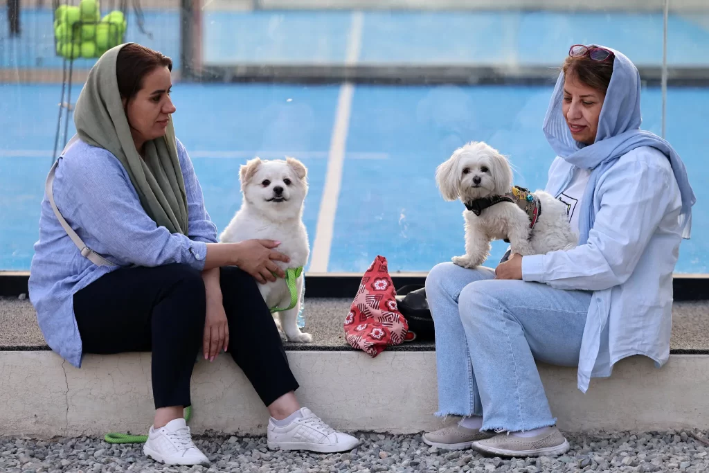 Atta Kenare/Agence France-Presse — Getty Images