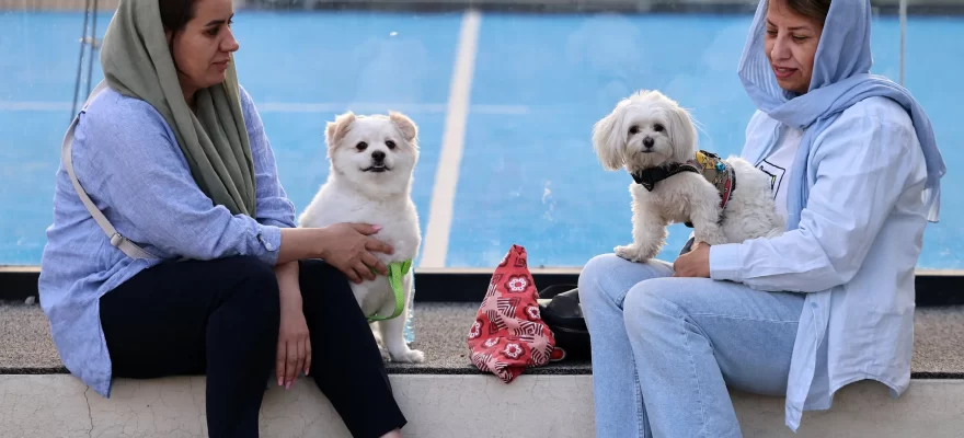 Atta Kenare/Agence France-Presse — Getty Images